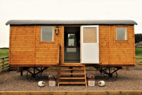 The Shepherds Hut @ Closehead Farm
